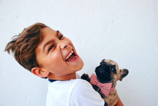 Fun Facts about Pets