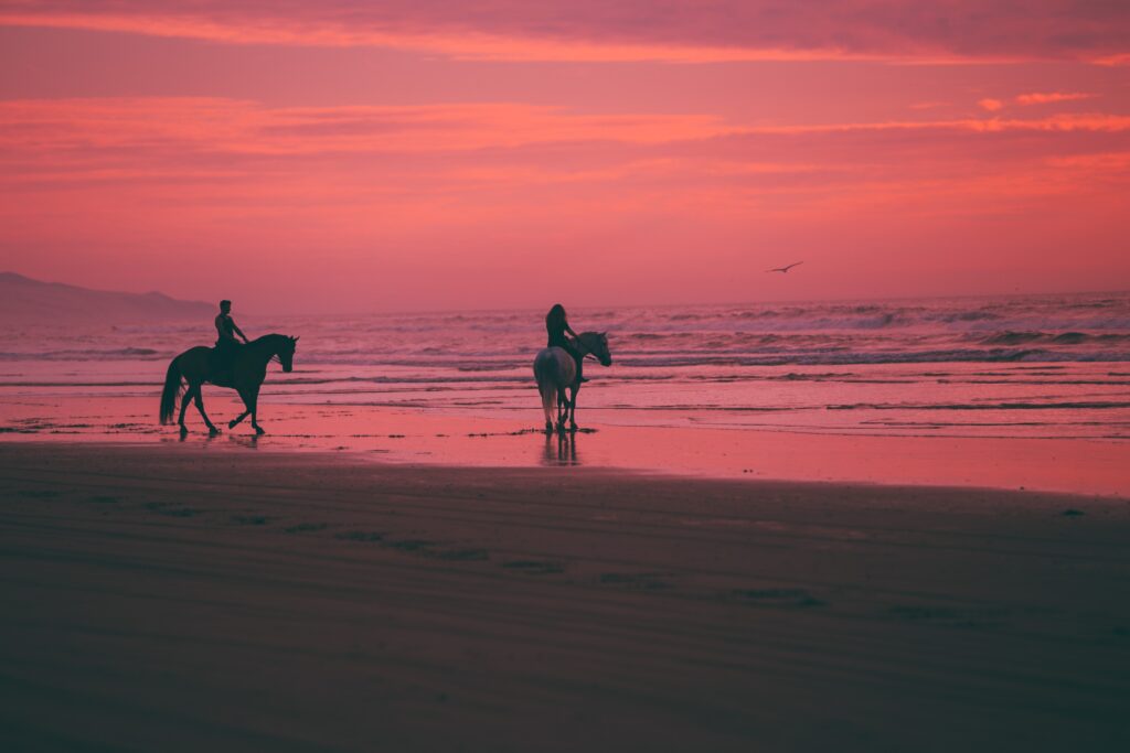 Summer Horse Care Tips