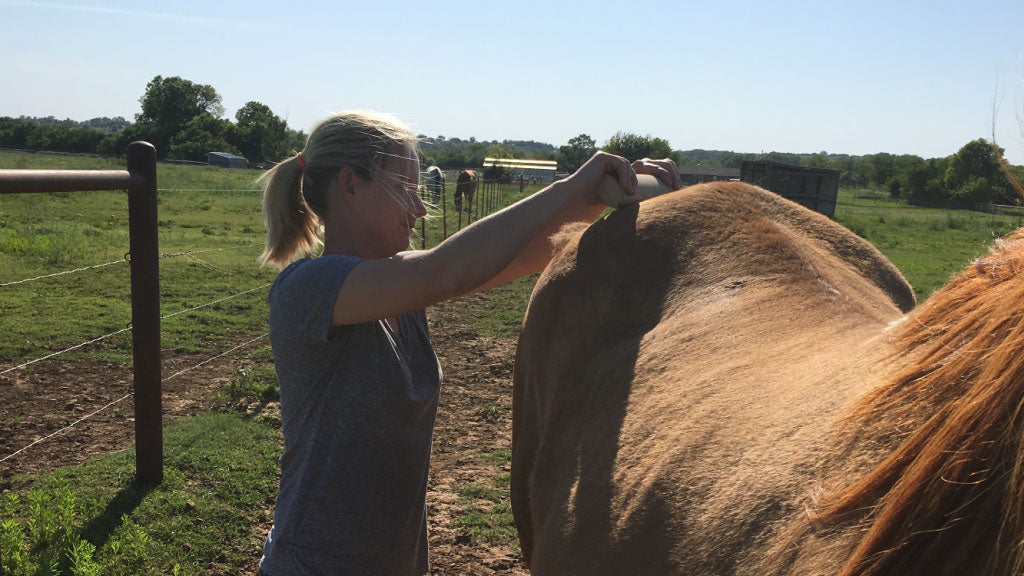 Treating Cuts, Scrapes, Bruises and Minor Horse Wounds