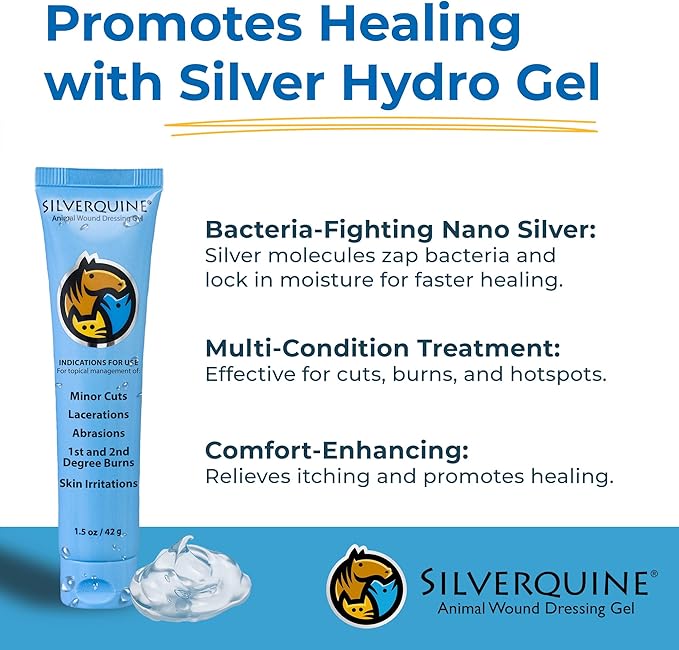 can you use silver dressings on dogs Amazon.com : SILVER GRADE Wound Spray for Pets Colloidal Silver Wound Care for Dogs & Cats Helps with Skin Irritation, Hot Spots, Rashes, Scratching, Itch, Bites & Burns Use