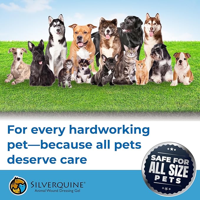 can you use silver dressings on dogs Amazon.com : SILVER GRADE Wound Spray for Pets Colloidal Silver Wound Care for Dogs & Cats Helps with Skin Irritation, Hot Spots, Rashes, Scratching, Itch, Bites & Burns Use